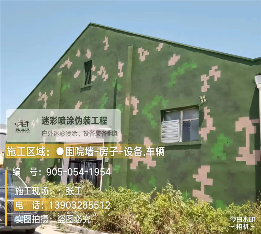 怒江外墙数码迷彩漆施工报价清单（100㎡标准墙面测算）